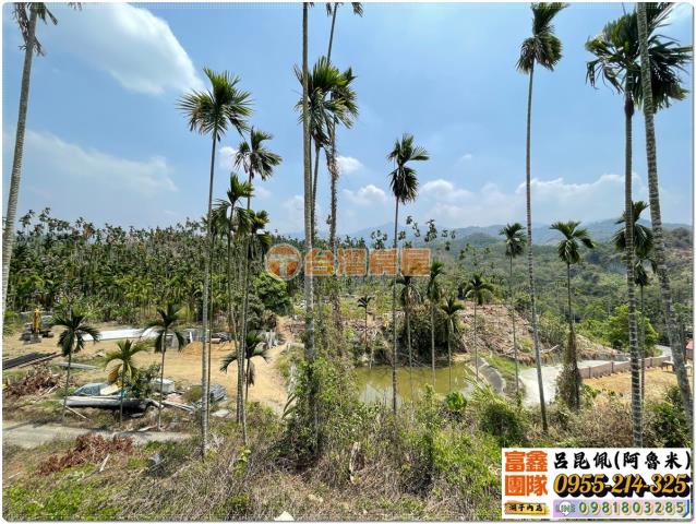 嘉義中埔農地-1