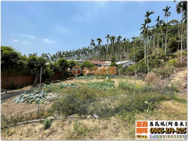 嘉義中埔農地-2