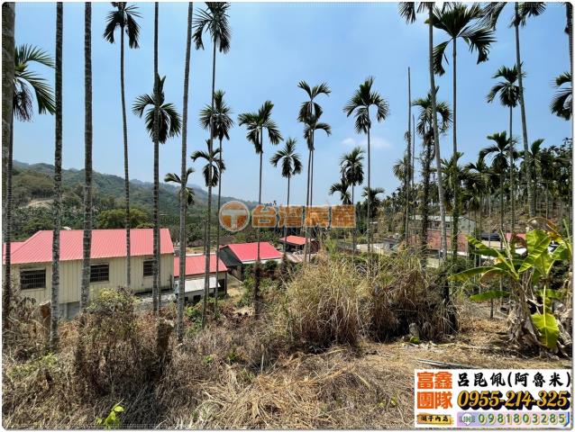 嘉義中埔農地-3