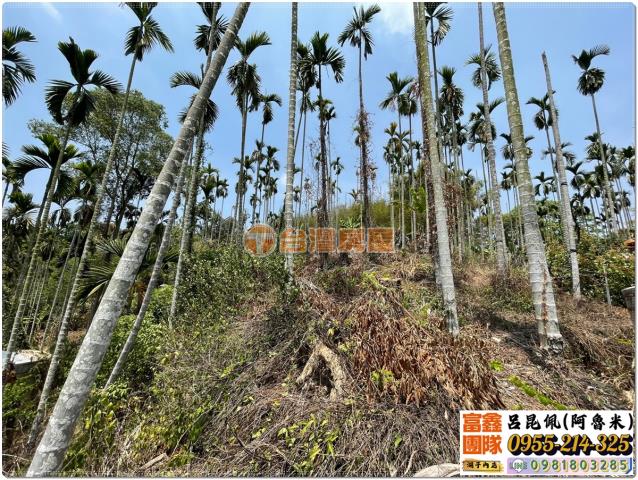 嘉義中埔農地-4