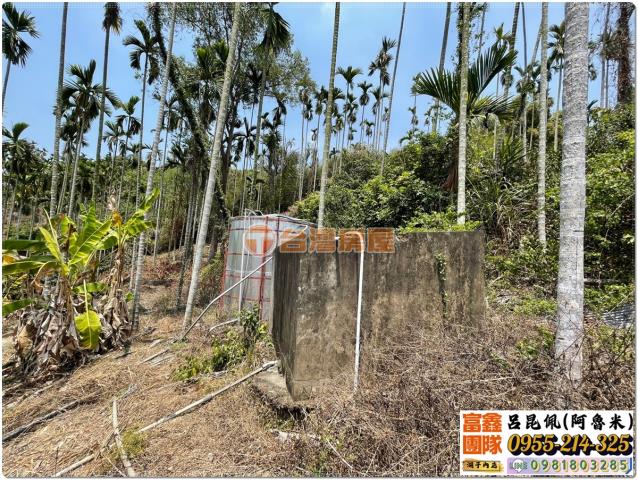 嘉義中埔農地-5