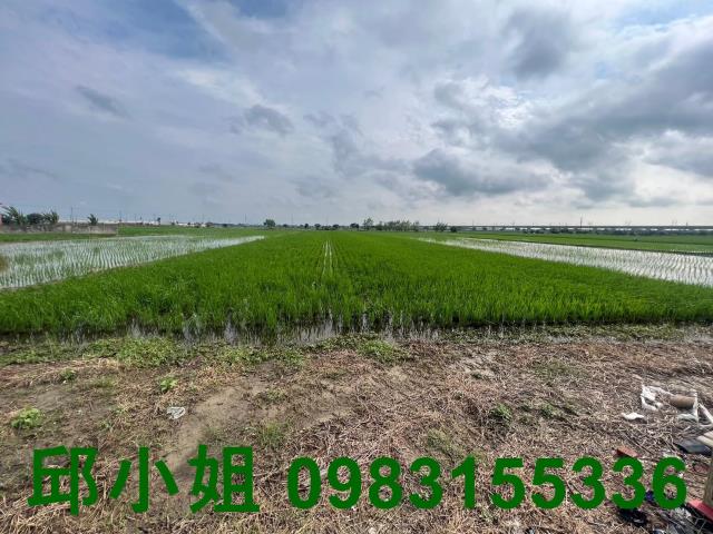 嘉義新港農地-0