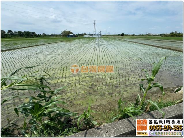 嘉義溪口農地-1