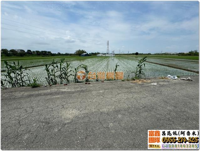 嘉義溪口農地-3