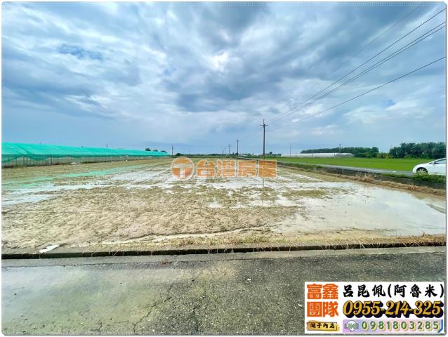 嘉義太保農地-0