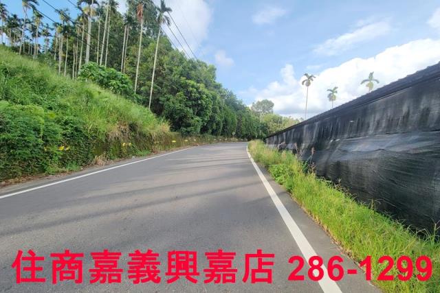 嘉義中埔農地-9