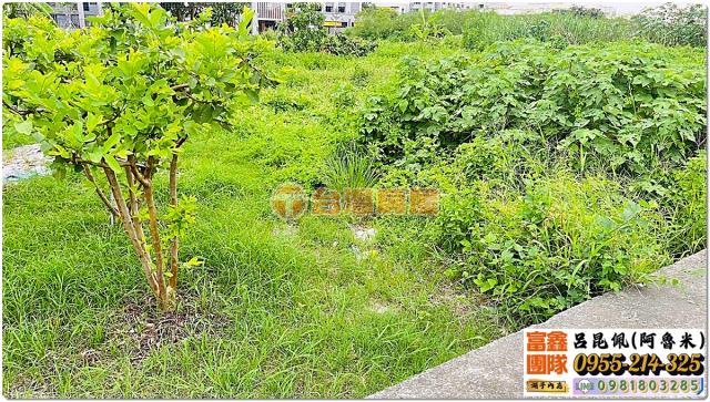 嘉義大林農地-1