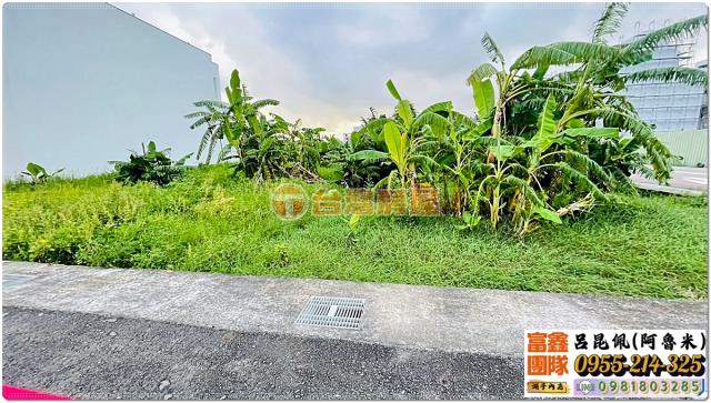 嘉義大林農地-3