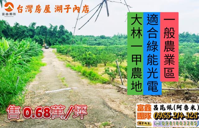 嘉義大林農地-0