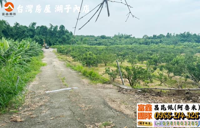 嘉義大林農地-6