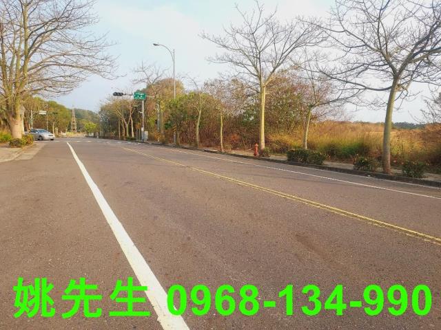 嘉義大林工業地-0