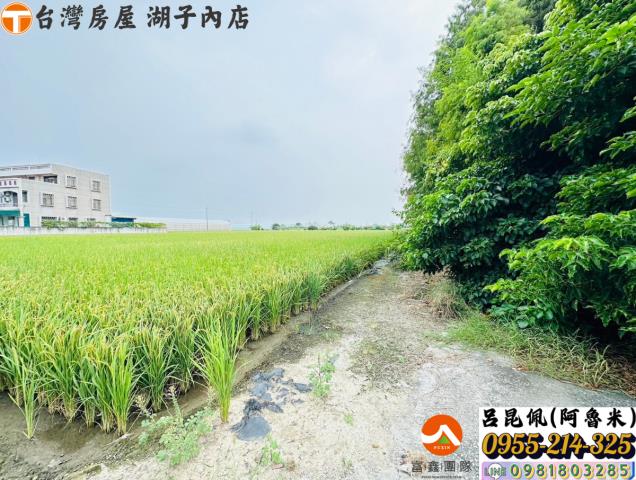 嘉義太保農地-2