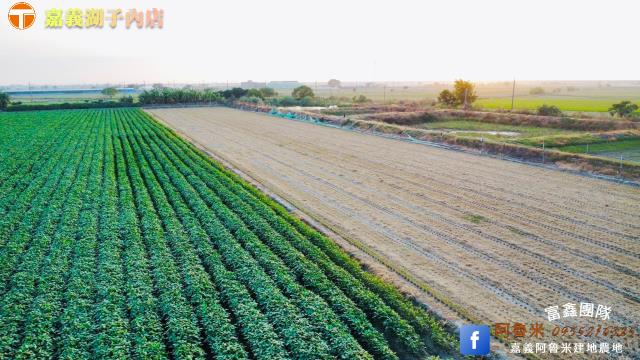 嘉義新港農地-0