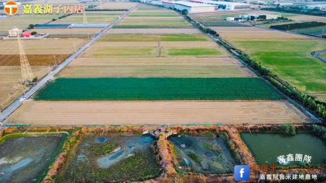嘉義新港農地-1