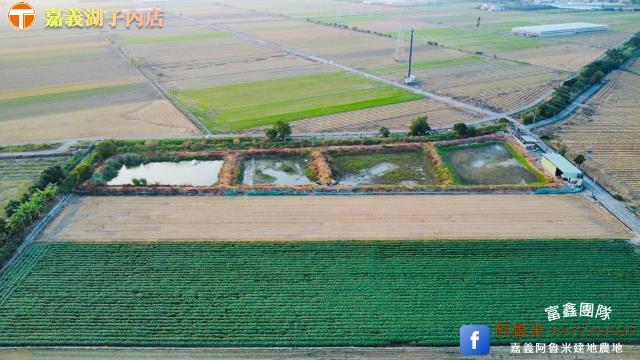 嘉義新港農地-2