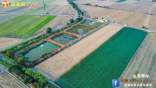 嘉義新港農地-4
