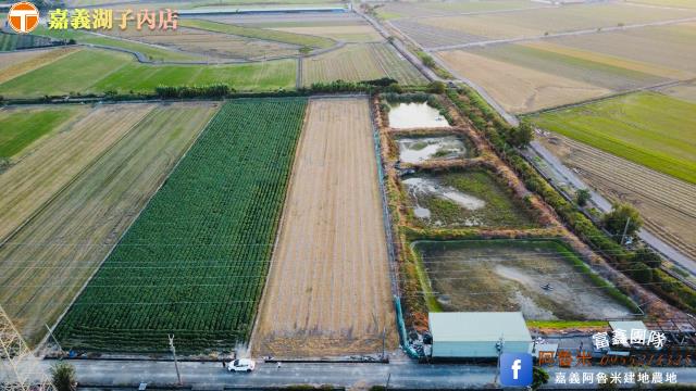 嘉義新港農地-5