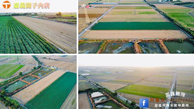 嘉義新港農地-6