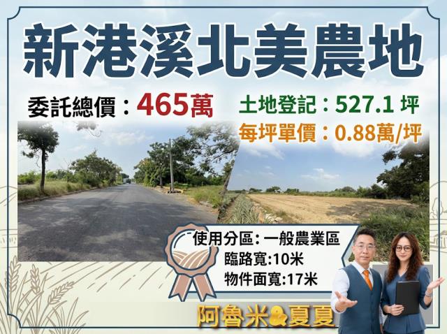 嘉義新港農地-0