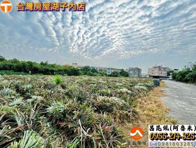 嘉義竹崎農地-0