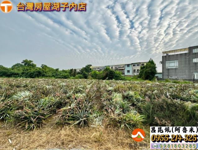 嘉義竹崎農地-4