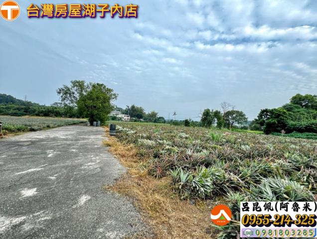 嘉義竹崎農地-5