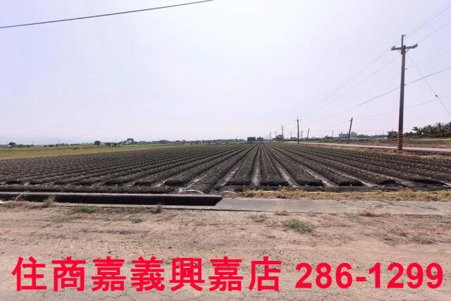 嘉義水上農地-2