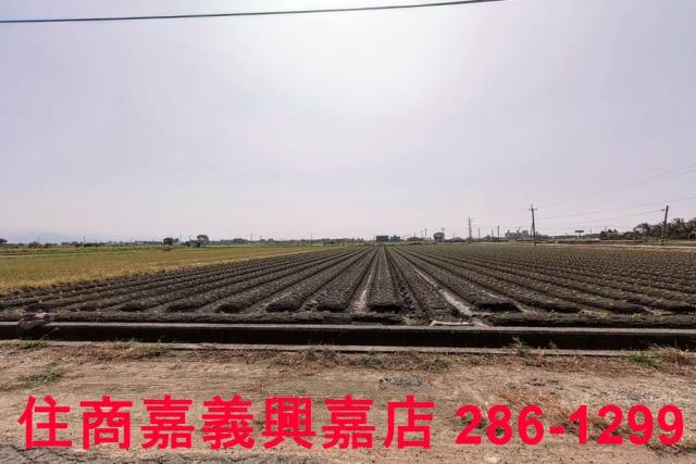 嘉義水上農地-3