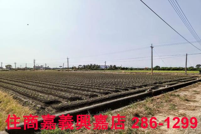 嘉義水上農地-4