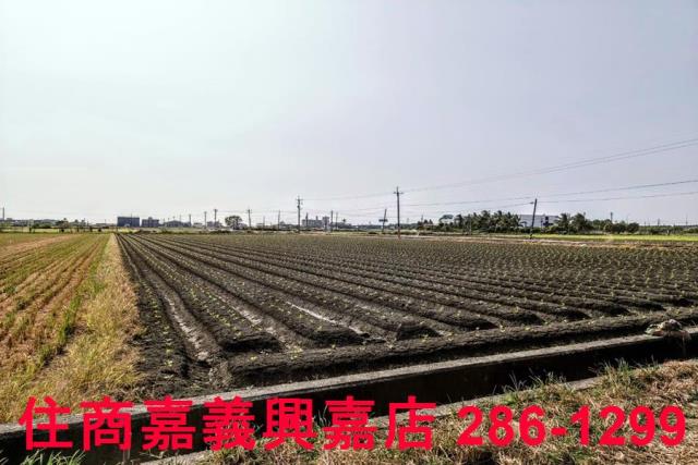 嘉義水上農地-5