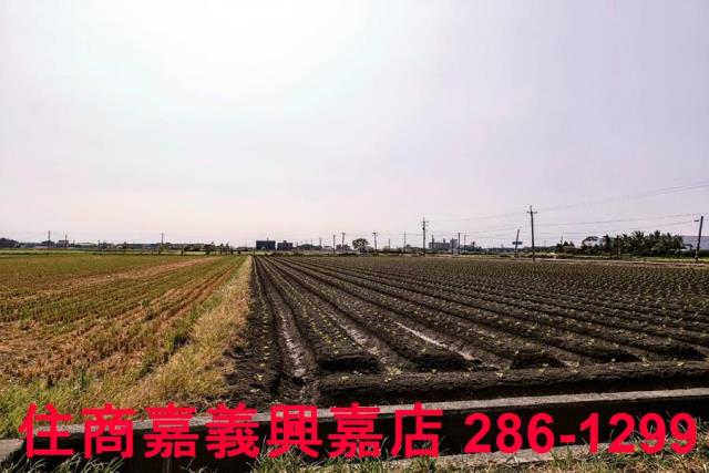 嘉義水上農地-6