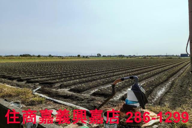 嘉義水上農地-8