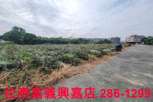 嘉義竹崎農地-0