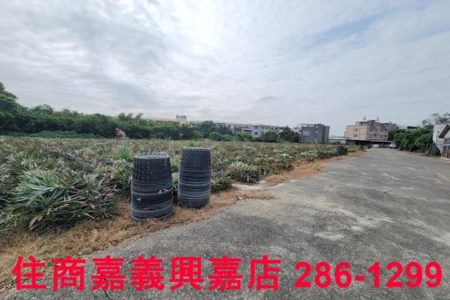 嘉義竹崎農地-2