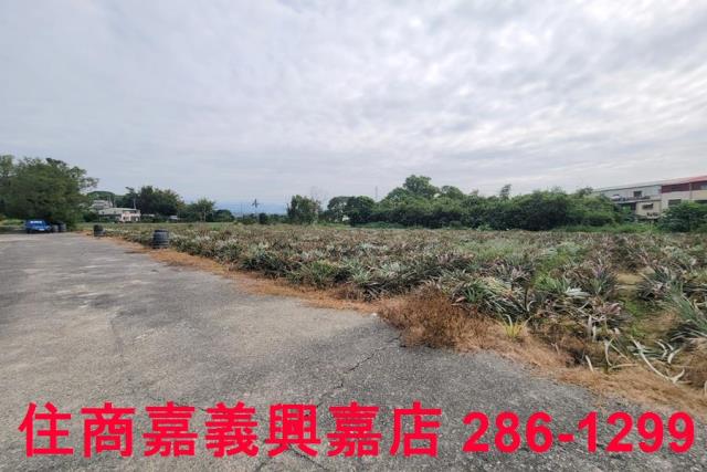 嘉義竹崎農地-3