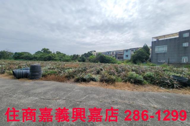 嘉義竹崎農地-6