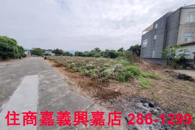 嘉義竹崎農地-7