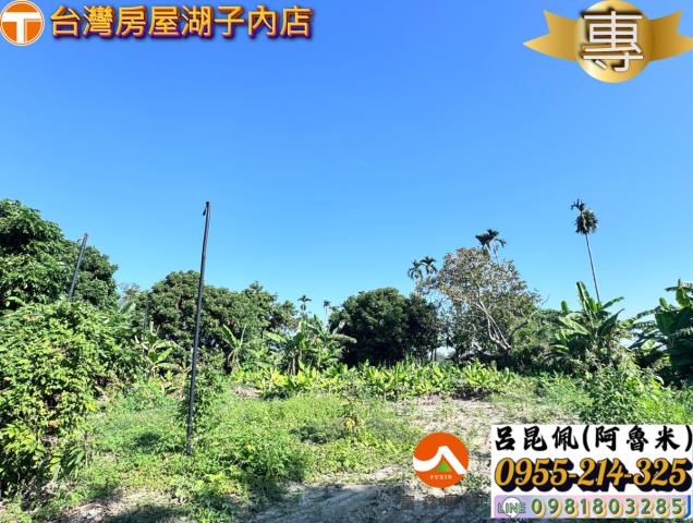 嘉義水上農地-1