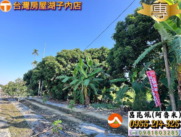 嘉義水上農地-3