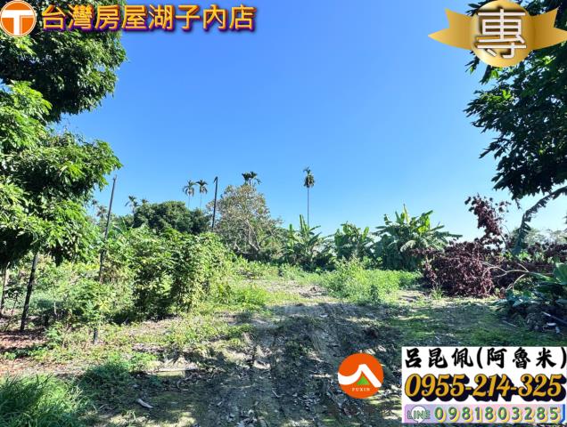 嘉義水上農地-4