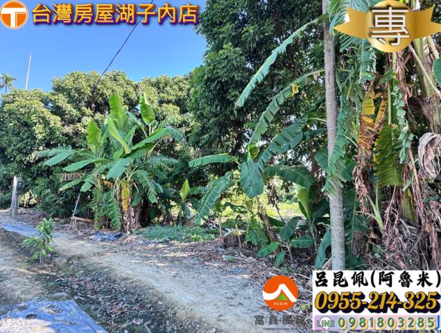 嘉義水上農地-6