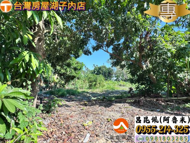 嘉義水上農地-8