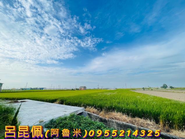 溪口農地-2