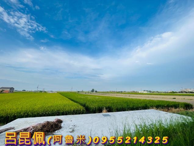 溪口農地-7