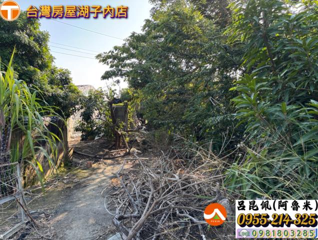 嘉義西區農地-1