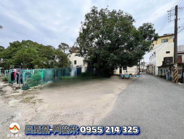 嘉義水上建地-0