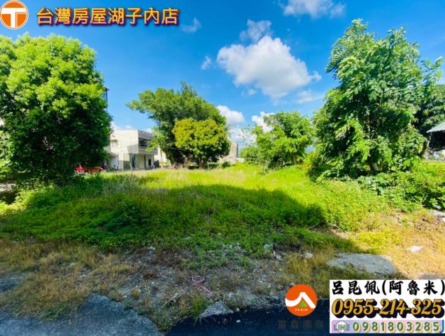 嘉義水上建地-1