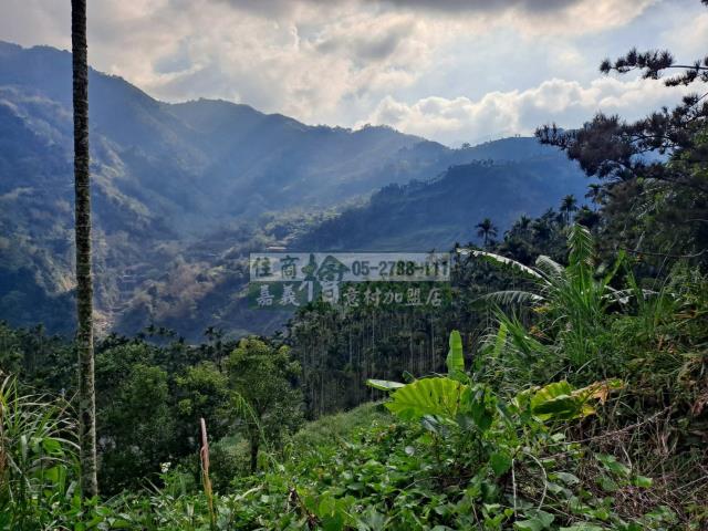 嘉義梅山農地-1