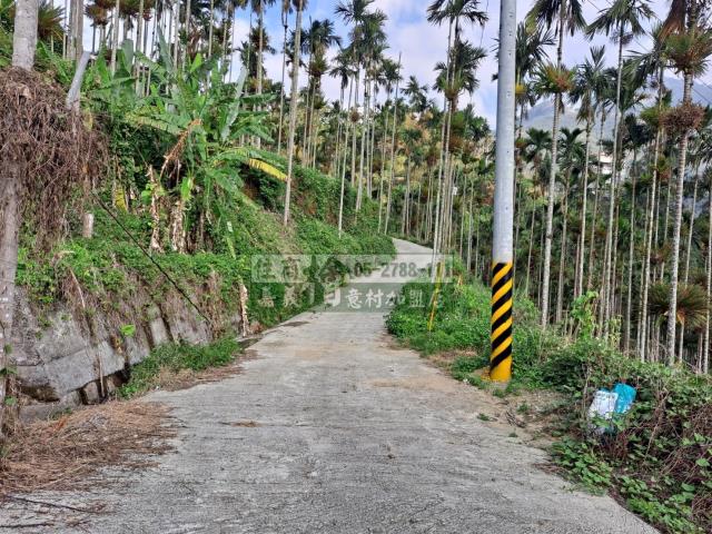 嘉義梅山農地-2