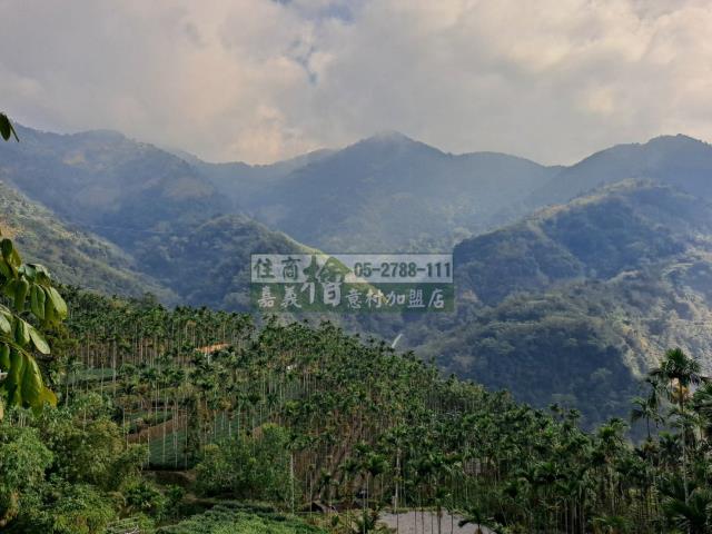 嘉義梅山農地-3